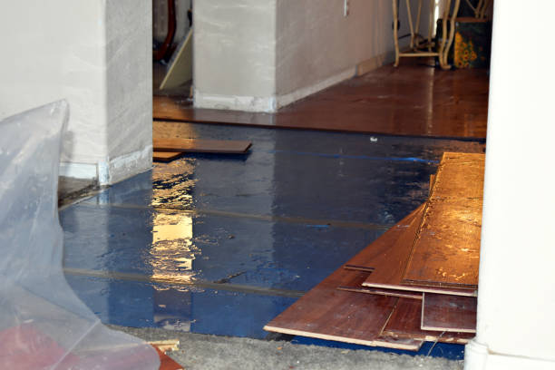 Professional Emergency Water Damage Restoration technician working in Campbell, MO